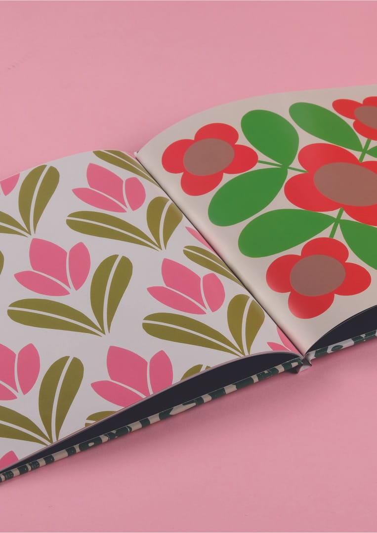 Ariana Villafuerte, 12250-2995526_2a98d90, Degree show 5-000