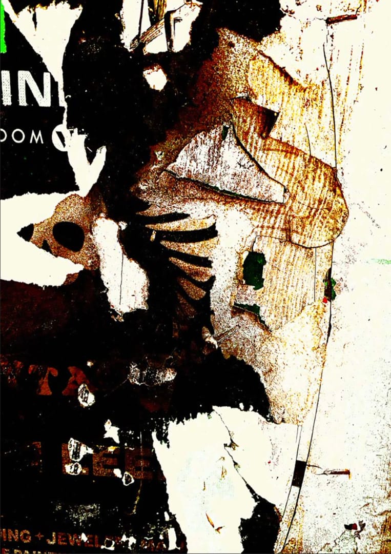 Iris Wood, 12558-2993035_08af89e, ,The Infestation,