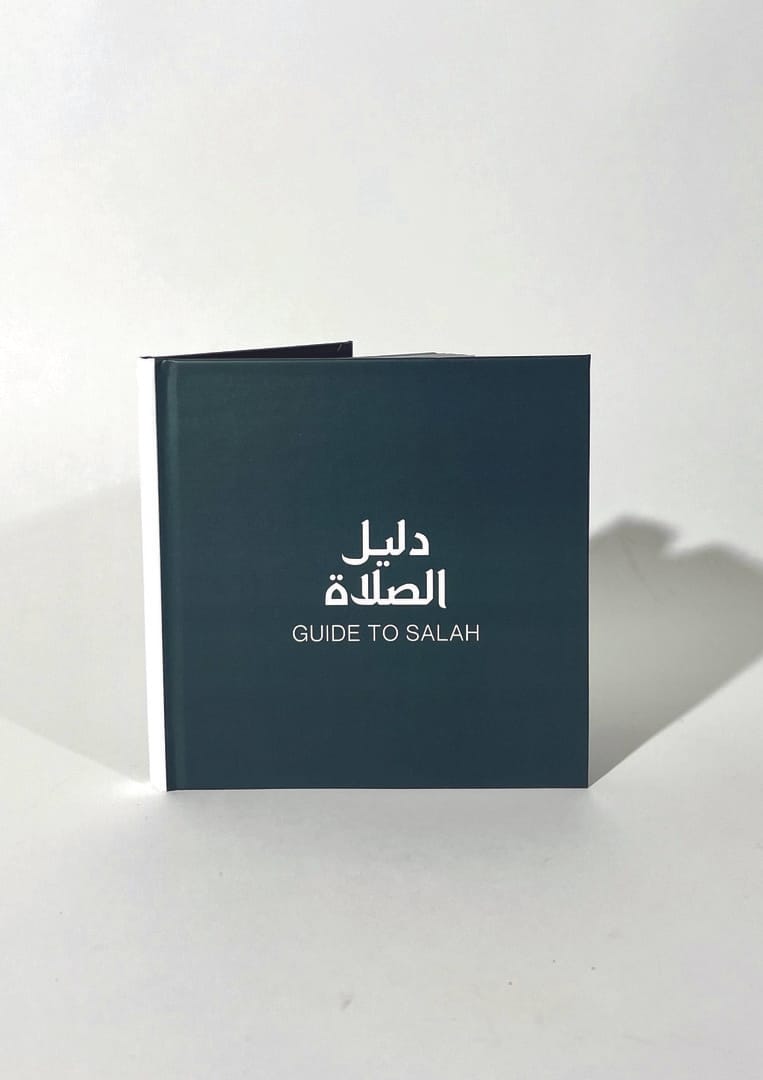 Maleyah Mahmood, 12054-2991364_9421985, Grad Show Submission 4-000