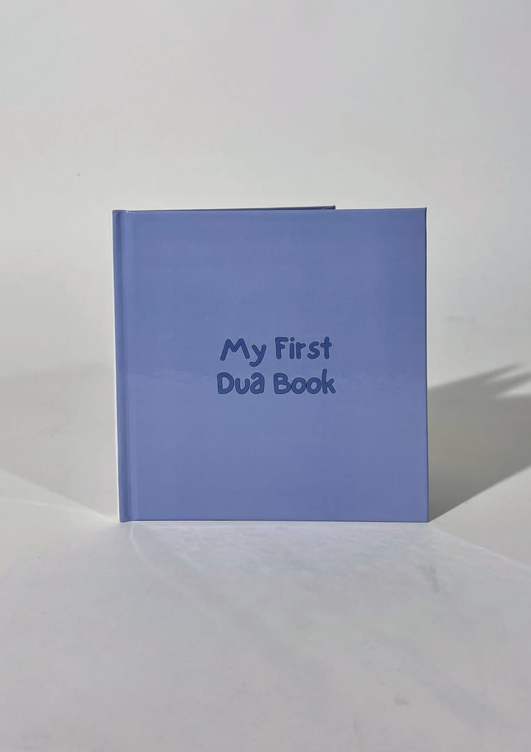 Maleyah Mahmood, 12841-2991362_7a4eeae, Grad Show Submission 3-000