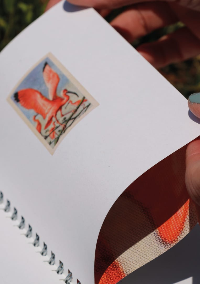 Sam Senior, 12144-2993388_c742a39, Degree Show Submissions3