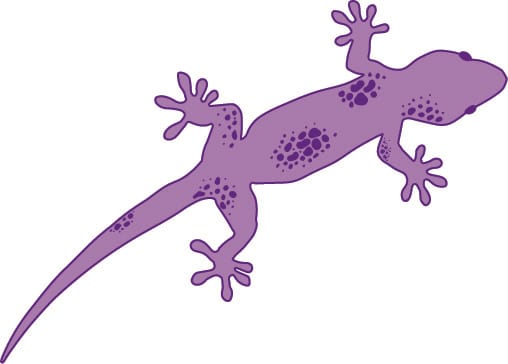 5.2.6 - Animating Illustrations in Ae