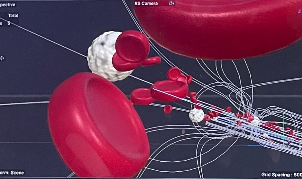 Cinema 4D Blood Cell Animation