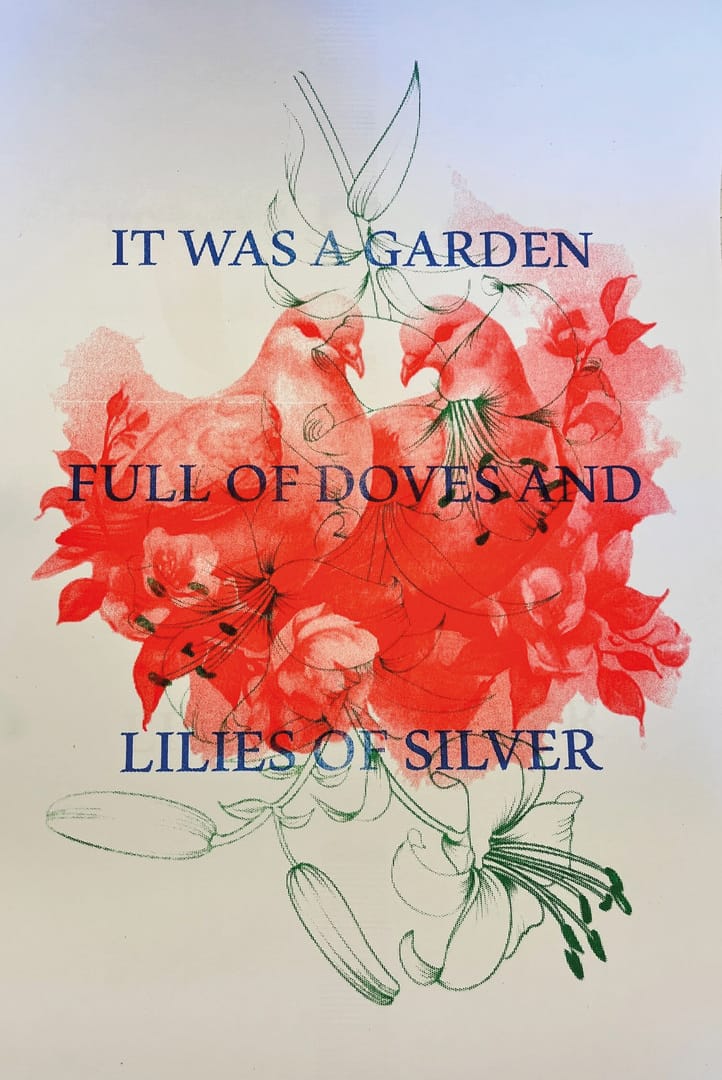 Holly Christie, 12349-2991934_8b6ecaf, salome doves poster 2 - degree show