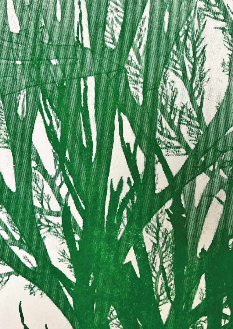 Holly Christie, 12473-2991935_a849026, seaweed poster - degree show