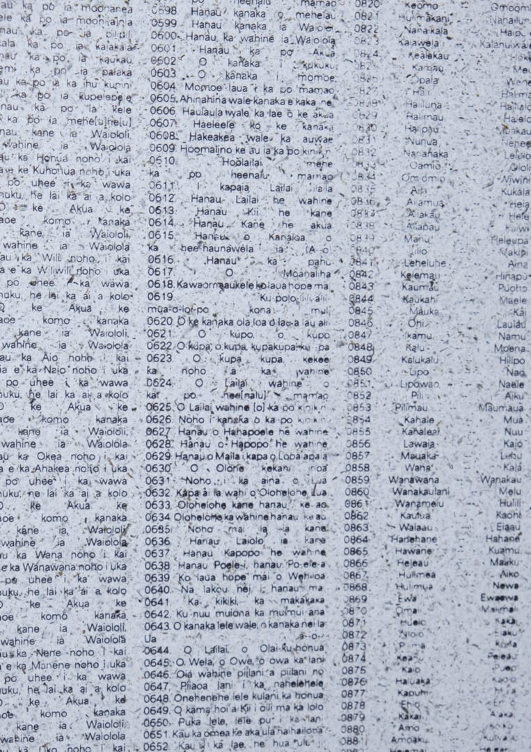 Lily Mitchell, 12850-2991415_a69c98e, DEGREE SHOW PHOTOS-002