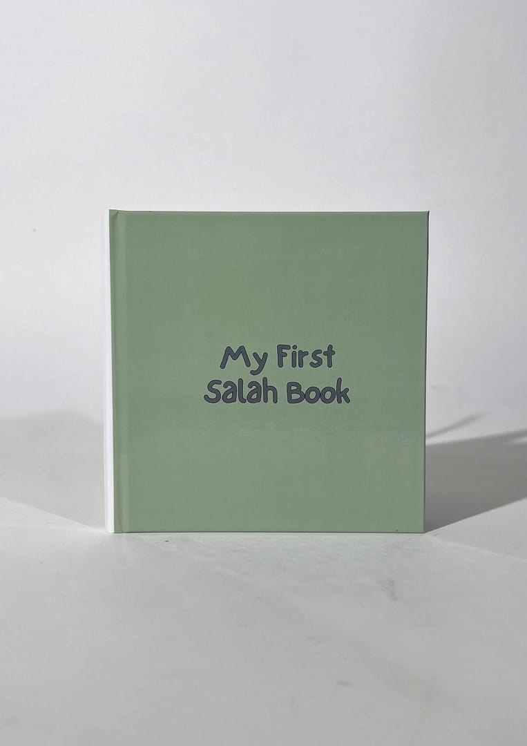 Maleyah Mahmood, 12894-2991361_4229630, Grad Show Submission 2-000