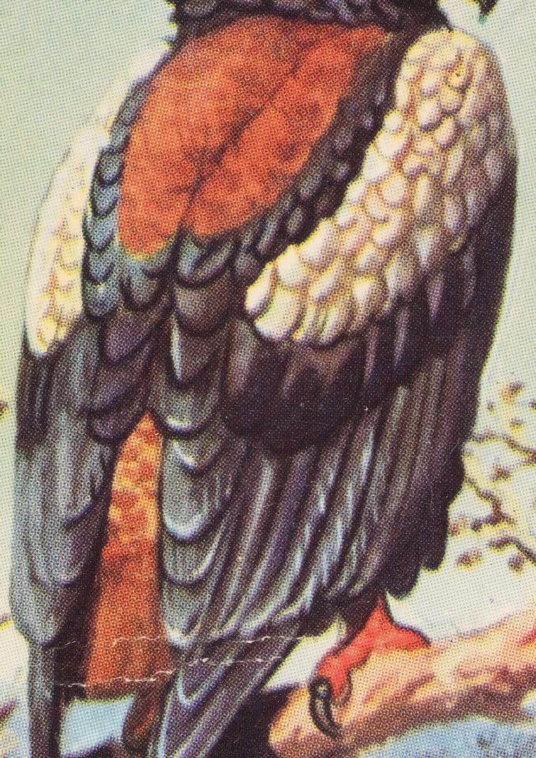 Sam Senior, 12194-2993389_451a1ad, Degree Show Submissions4