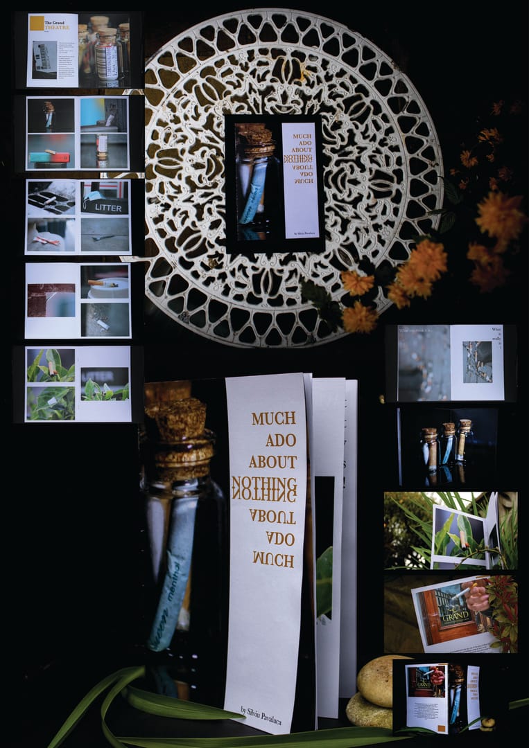 Silviu Pavaluca, 12979-2991176_eca64b3, DegreeSubmisionSilviuPavaluca3