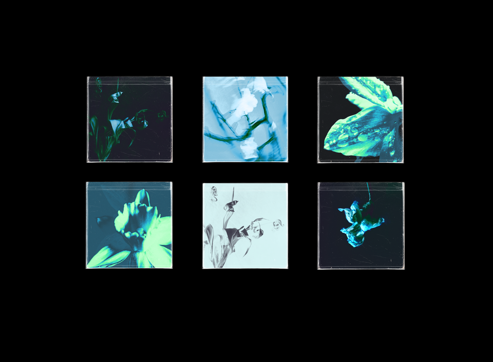 Narcissist Cover Art